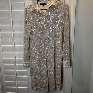 Ellen Weaver SzS Champagne Sequin Dress